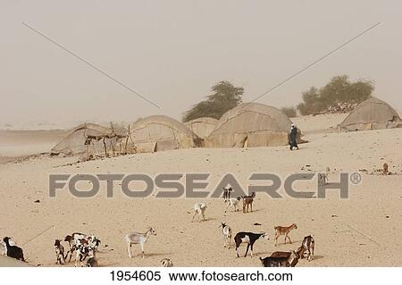 Tuareg encampment near Timbuktu, Mali View Large Photo Image Stock Photography - Tuareg encampment near Timbuktu, Mali. Fotosearch