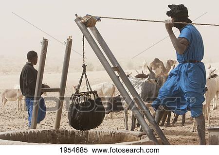 Stock Photography - Tuareg man drawing water from a well, Nibka Mohammed, Mali. Fotosearch