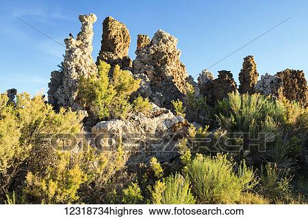 Stock Photograph - Tufa formations at sunrise, Mono Lake; Lee Vining, California, United States of America. Fotosearch