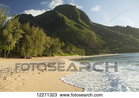 Stock Image - Tunnels Beach; Haena, Kauai, Hawaii, United States of America. Fotosearch
