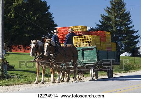 Two amish boys on a horse drawn wagon full of chicken crates, near Edgewood; Iowa, United States of America View Large Photo Image Picture - Two amish boys on a horse drawn wagon full of chicken crates, near Edgewood; Iowa, United States of America. Fotosearch