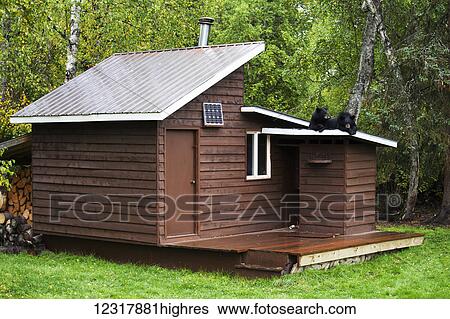 Stock Photograph - Two Black Bears lying on the roof of building in summer, Southcentral Alaska, USA. Fotosearch