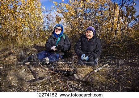 Stock Image - Two female Alaska native elders sitting on the ground harvesting roots with shovels, Noatak, Arctic Alaska, USA, Fall. Fotosearch