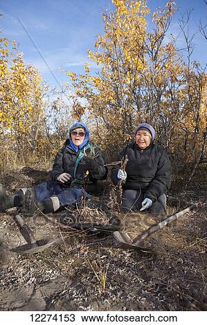 Stock Image - Two female Alaska native elders sitting on the ground harvesting roots with shovels, Noatak, Arctic Alaska, USA, Fall. Fotosearch