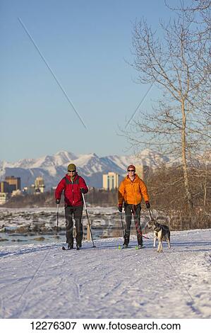 Two people cross country ski and skijor with an Alaska Husky on the Tony Knowles Coastal Trail near Earthquake Park with Anchorage skyline in the background, Cook Inlet, Southcentral Alaska View Large Photo Image Stock Photo - Two people cross country ski and skijor with an Alaska Husky on the Tony Knowles Coastal Trail near Earthquake Park with Anchorage skyline in the background, Cook Inlet, Southcentral Alaska. Fotosearch