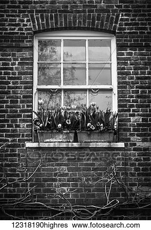Two planters hold blooming flowers on a windowsill; London, England View Large Photo Image Stock Photograph - Two planters hold blooming flowers on a windowsill; London, England. Fotosearch