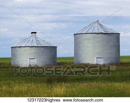 Stock Photograph - Two silver silos side by side in a green field; Cayley, Alberta, Canada. Fotosearch