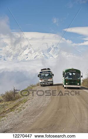 Stock Photo - Two Tour buses pass each other on the Park Road in Denali National Park with Mt. McKinley in the background, Interior Alaska, Summer. Fotosearch
