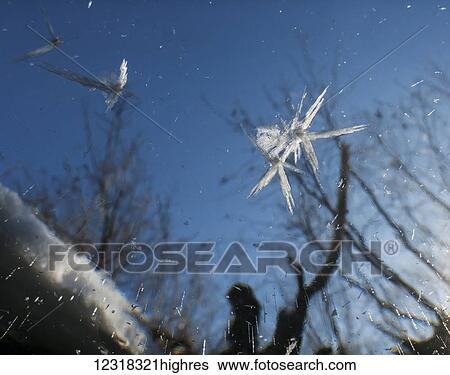 Stock Photograph - Underwater view of hoar frost on surface ice of Power Creek near Cordova and Prince William Sound, Alaska in Winter; Alaska, United States of America. Fotosearch