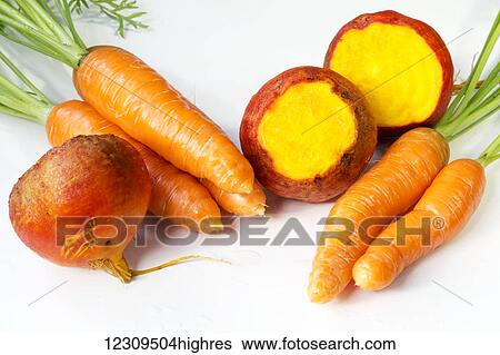 Variety of fresh root vegetables on a white background; Chilliwack, British Columbia, Canada View Large Photo Image Stock Photograph - Variety of fresh root vegetables on a white background; Chilliwack, British Columbia, Canada. Fotosearch