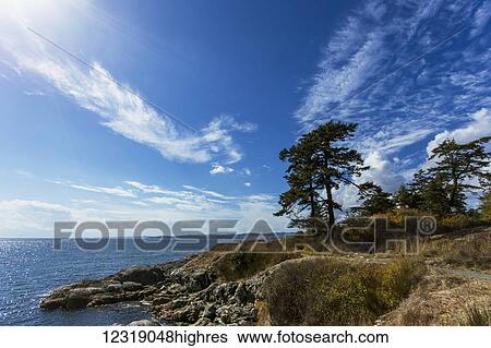 View from a walking path along the Esquitmalt coast on an afternoon in late summer, Vancouver Island; Esquitmalt, British Columbia, Canada View Large Photo Image Stock Photograph - View from a walking path along the Esquitmalt coast on an afternoon in late summer, Vancouver Island; Esquitmalt, British Columbia, Canada. Fotosearch