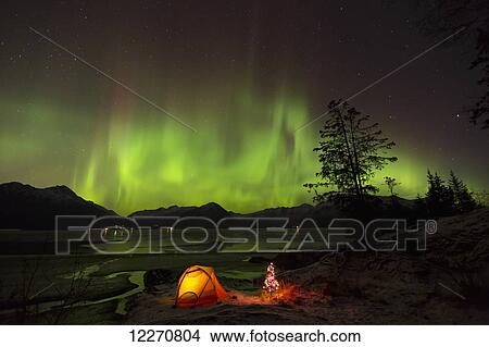 Picture - View of the Aurora Borealis (Northern Lights) dancing above the Chugach Mountains with a backpacking tent and Christmas Tree along the shore of Turnagain Arm, Kenai Peninsula, Southcentral, Alaska, Winter. Fotosearch