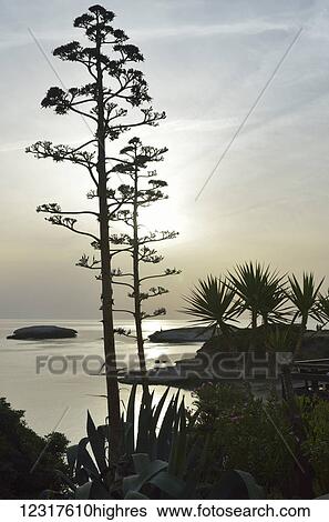 Stock Photograph - View of the sea at dusk; S'Archittu, Oristano province, Sardinia, Italy. Fotosearch