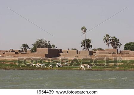 Stock Photo - Village Along The Shores Of The Niger River Between Mopti And Lake Débo, Mali. Fotosearch