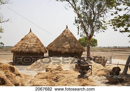 Village In The Barabar Area, Bihar, India View Large Photo Image Stock Image - Village In The Barabar Area, Bihar, India. Fotosearch