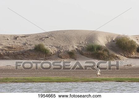Stock Photography - Walking along the shores of the Niger River between Niafunke and Kabara, Mali. Fotosearch