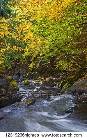 Stock Photograph - Water flowing in a stream and trees changing colours in autumn; Foster, Quebec, Canada. Fotosearch