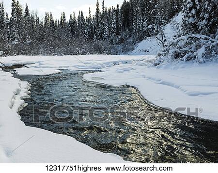Stock Photograph - Water flowing through a forested area in winter; British Columbia, Canada. Fotosearch