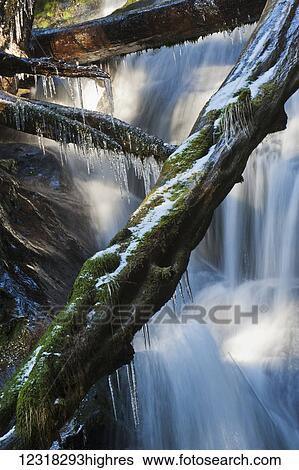 Waterfall with ice in the rainforest along the Herring Cove trail, near Sitka; Alaska, United States of America View Large Photo Image Stock Photograph - Waterfall with ice in the rainforest along the Herring Cove trail, near Sitka; Alaska, United States of America. Fotosearch