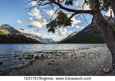 Waterton Lakes National Park; Alberta, Canada View Large Photo Image Stock Photograph - Waterton Lakes National Park; Alberta, Canada. Fotosearch