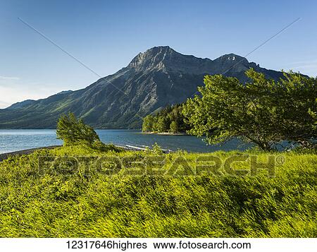 Stock Photograph - Waterton Lakes National Park; Alberta, Canada. Fotosearch