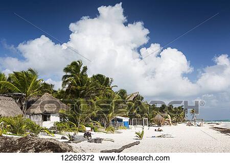 Stock Image - White sand beach with thatched huts, coconut and palm trees and blue sky with large white cloud; Tulum, Quintana Roo, Mexico. Fotosearch