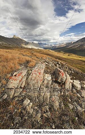 Stock Image - Wilcox Pass In Fall Colours Looking Towards Nigel Peak And Cirrus Mountain, Jasper National Park, Alberta. Fotosearch