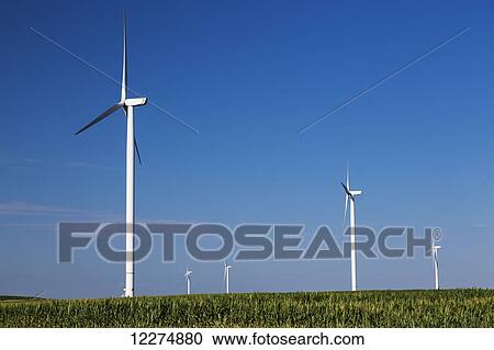 Stock Image - Wind turbines from the Elk Wind Energy Farm and a corn field, near Edgewood; Iowa, United States of America. Fotosearch
