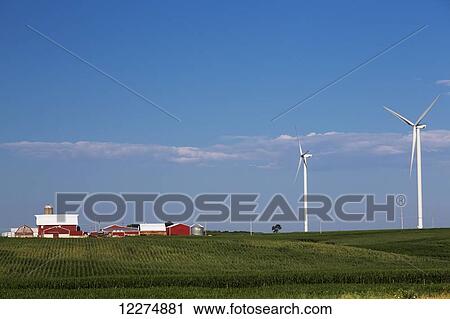 Wind turbines from the Elk Wind Energy Farm and a corn field with farm buildings, near Edgewood; Iowa, United States of America View Large Photo Image Stock Image - Wind turbines from the Elk Wind Energy Farm and a corn field with farm buildings, near Edgewood; Iowa, United States of America. Fotosearch