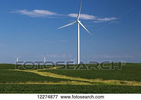 Wind turbines from the Elk Wind Energy Farm and a bean fields, near Edgewood; Iowa, United States of America View Large Photo Image Stock Photo - Wind turbines from the Elk Wind Energy Farm and a bean fields, near Edgewood; Iowa, United States of America. Fotosearch