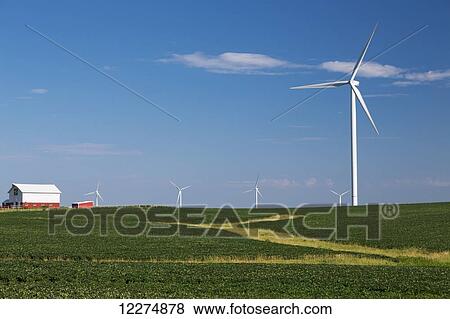 Wind turbines from the Elk Wind Energy Farm and a bean field with a barn in the distance, near Edgewood; Iowa, United States of America View Large Photo Image Stock Photo - Wind turbines from the Elk Wind Energy Farm and a bean field with a barn in the distance, near Edgewood; Iowa, United States of America. Fotosearch
