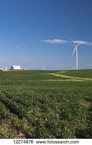 Stock Photograph - Wind turbines from the Elk Wind Energy Farm and a bean field with a barn in the distance, near Edgewood; Iowa, United States of America. Fotosearch