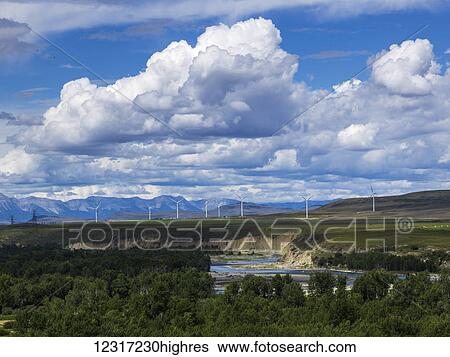 Stock Photograph - Wind turbines in a field with the Canadian Rockies in the distance; Brocket, Alberta, Canada. Fotosearch
