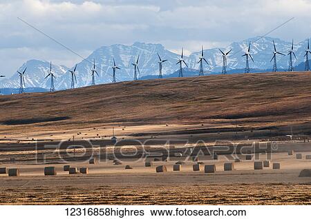 Wind turbines in a row with hay bales in the foreground and the Canadian Rockies in the background; Pincher Creek, Alberta, Canada View Large Photo Image Stock Photograph - Wind turbines in a row with hay bales in the foreground and the Canadian Rockies in the background; Pincher Creek, Alberta, Canada. Fotosearch