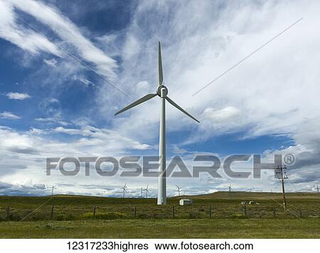 Stock Photograph - Wind turbines on fields under a blue sky, with cloud; Pincher Creek, Alberta, Canada. Fotosearch