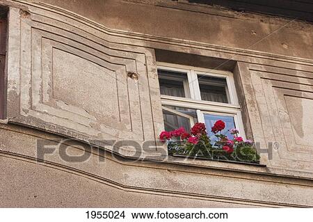 Picture - Window with geranium box, Sarajevo, Bosnia and Herzegovina. Fotosearch