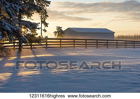 Stock Photograph - Winter sunrise at a ranch; Cremona, Alberta, Canada. Fotosearch