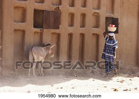 Stock Image - Woman carrying basket on head in front of donkey against built structure in Baniani, Mali. Fotosearch