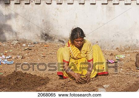 Woman Making Cow Dung Patties, Bodhgaya, Bihar, India View Large Photo Image Stock Photography - Woman Making Cow Dung Patties, Bodhgaya, Bihar, India. Fotosearch
