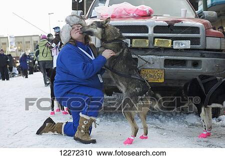 Stock Image - Woman meets and greets the dogs before the start of the 2011 Iditarod Race in downtown Anchorage, Alaska. Fotosearch