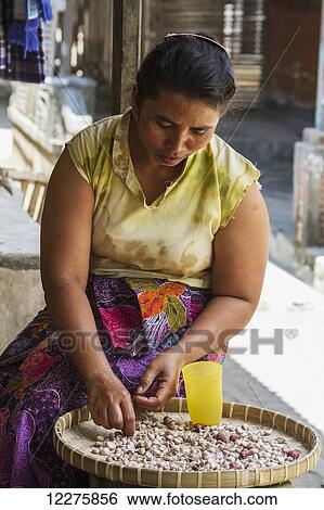 Woman peeling garlic, Semparu, Lombok, West Nusa Tenggara, Indonesia View Large Photo Image Stock Photograph - Woman peeling garlic, Semparu, Lombok, West Nusa Tenggara, Indonesia. Fotosearch