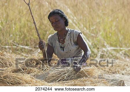 Picture - Woman Thrashing Rice, Isalo National Park, Fianarantsoa Province, Madagascar. Fotosearch