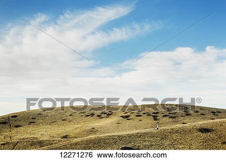 Stock Photograph - Woman walking a dog across a coulee; Lethbridge, Alberta, Canada. Fotosearch