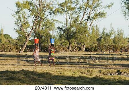 Women Carrying Buckets With Water Near Mangily, Toliara Province, Madagascar View Large Photo Image Stock Image - Women Carrying Buckets With Water Near Mangily, Toliara Province, Madagascar. Fotosearch