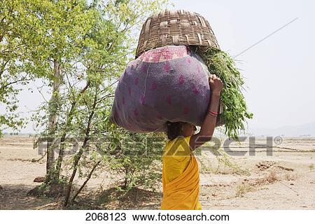 Women Carrying Fodder, Rajgir, Bihar, India View Large Photo Image Stock Image - Women Carrying Fodder, Rajgir, Bihar, India. Fotosearch