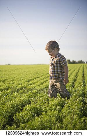 Stock Photograph - Young boy standing in a farm field in summertime; Saskatchewan, Canada. Fotosearch