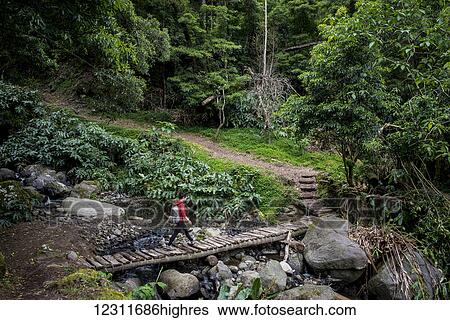 Stock Photograph - Young woman trekking in Faial da Terra; Sao Miguel, Azores, Portugal. Fotosearch