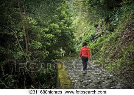 Stock Photograph - Young woman trekking in Faial da Terra; Sao Miguel, Azores, Portugal. Fotosearch