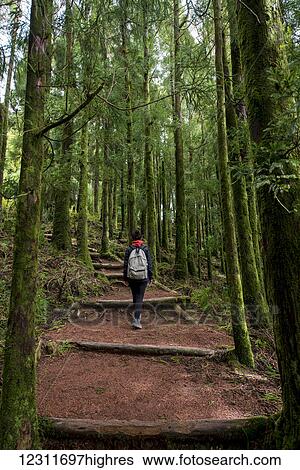 Stock Photograph - Young woman trekking in Sete Cidades; Ponta Delgada, Sao Miguel, Azores, Portugal. Fotosearch
