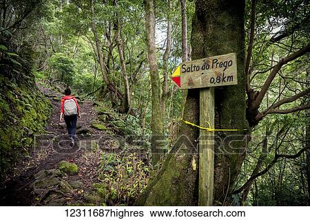 Stock Photograph - Young woman trekking to Salto do Prego; Faial da Terra, Sao Miguel, Azores, Portugal. Fotosearch